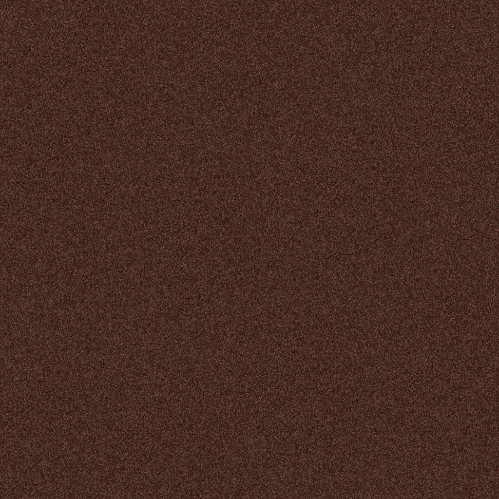 Shaw Floors Newbern Classic 12' - Coffee