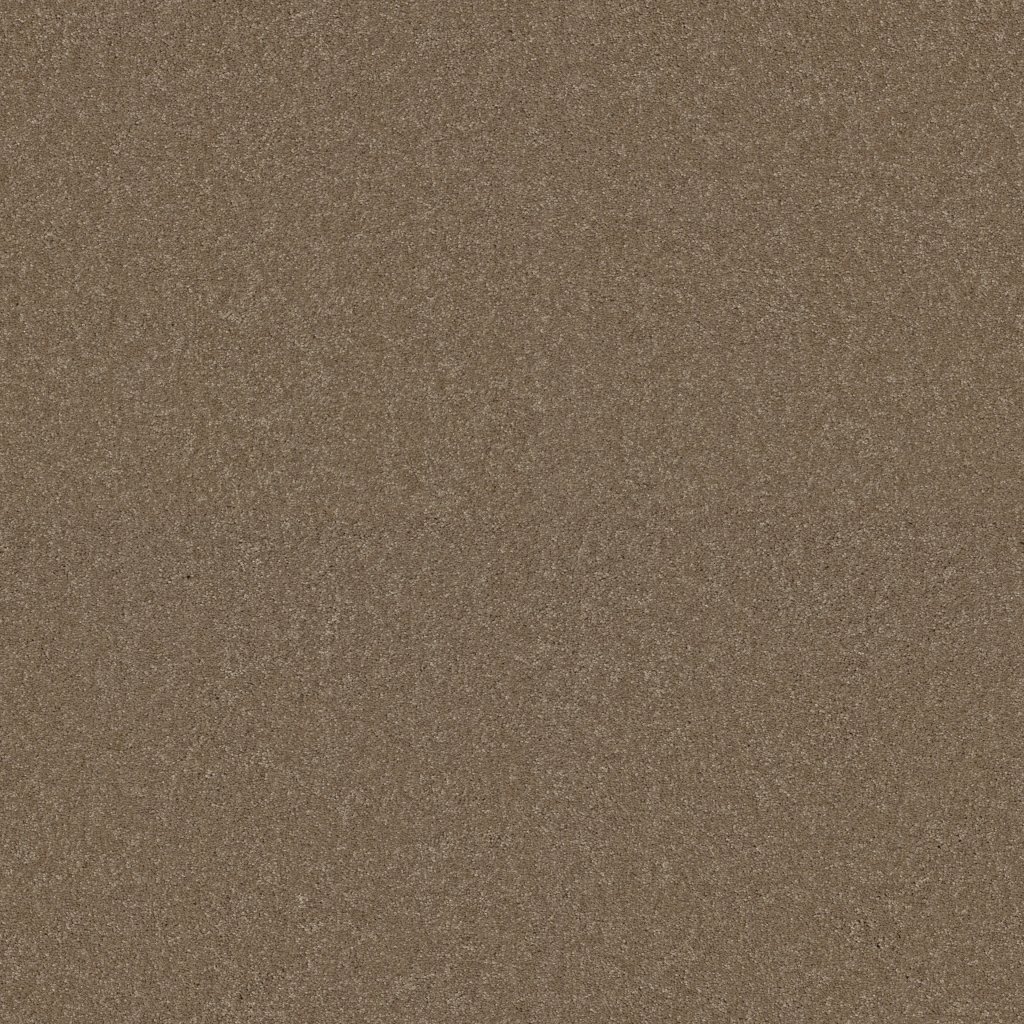Shaw Floors What's Up - Bridgewater Tan