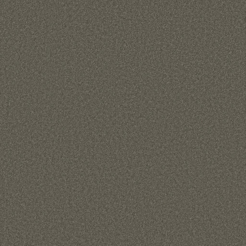 Shaw Floors THAT'S RIGHT - Stone Hearth