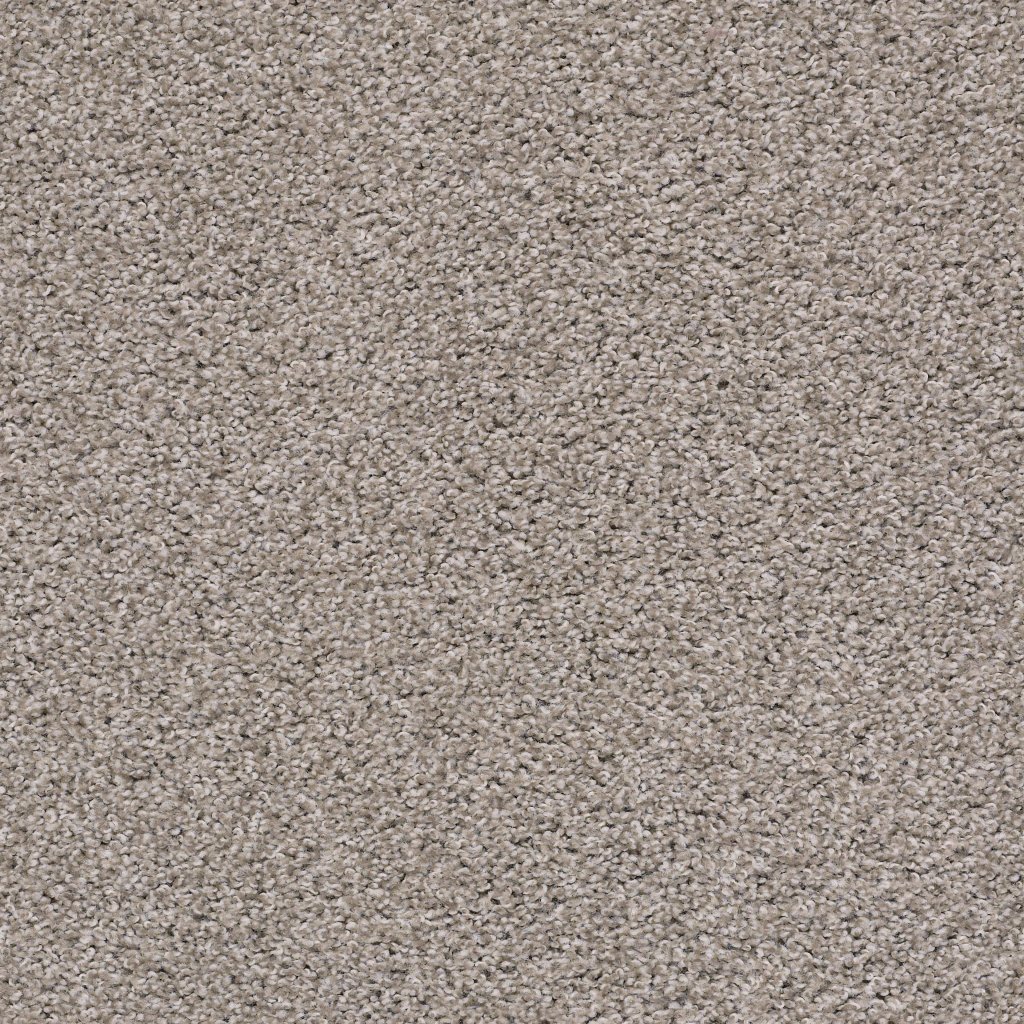 Shaw Floors Poised - Winter Birch
