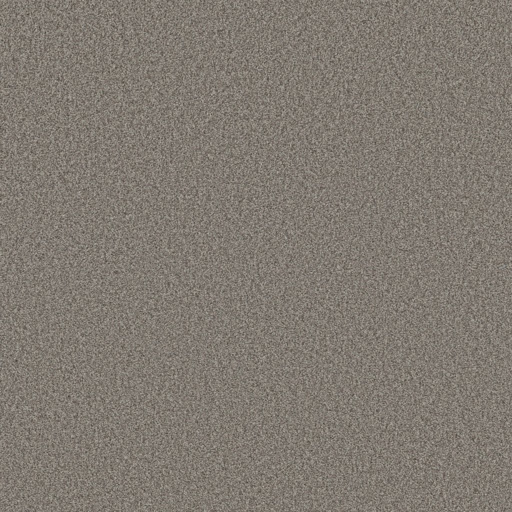 Shaw Floors Tonal Comfort I - Natural Fit