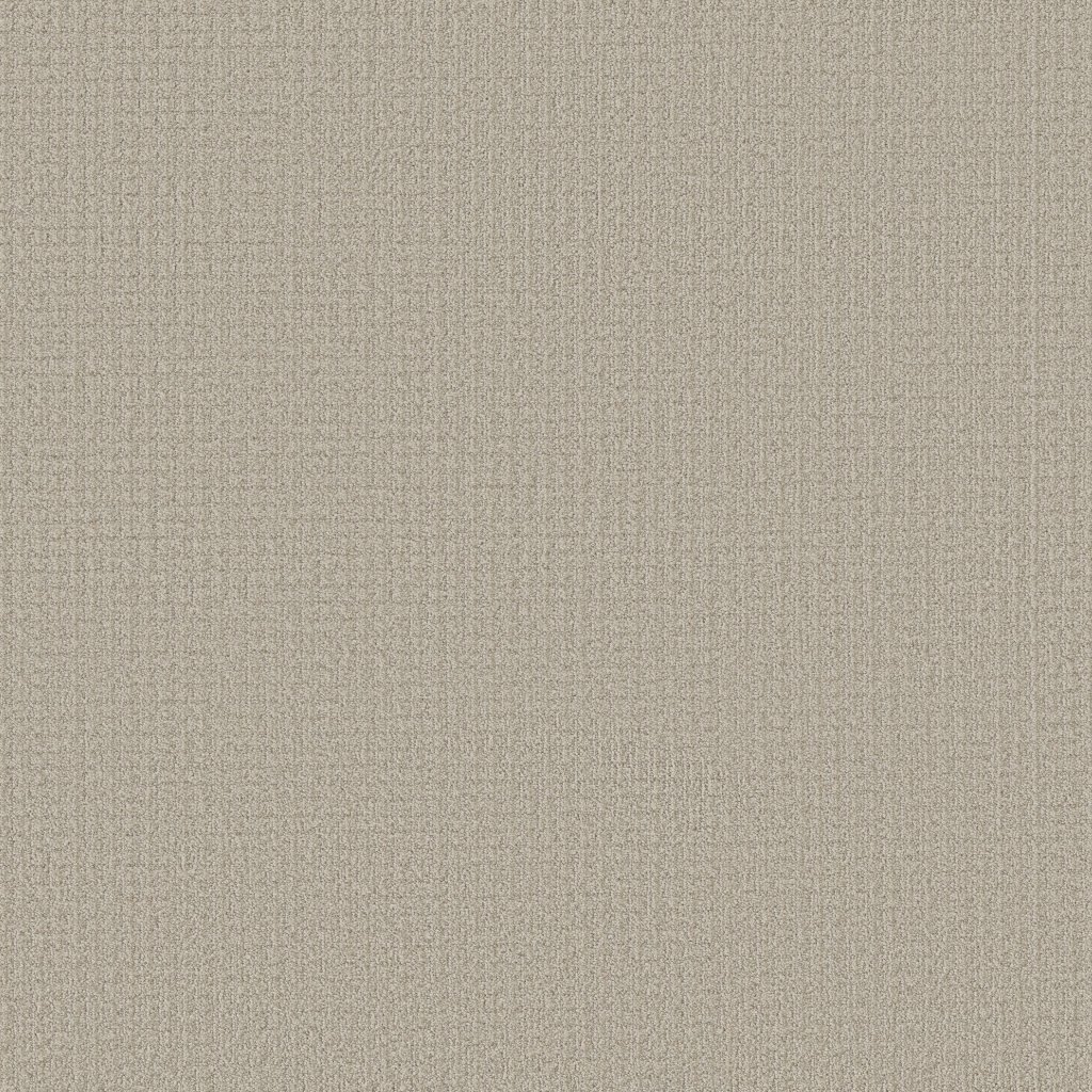 Shaw Floors Aerial Arts - Spun Wool