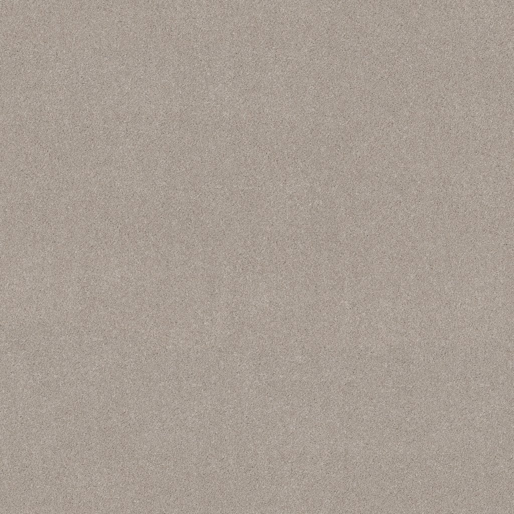 Shaw Floors Blended Touch II - Shadow