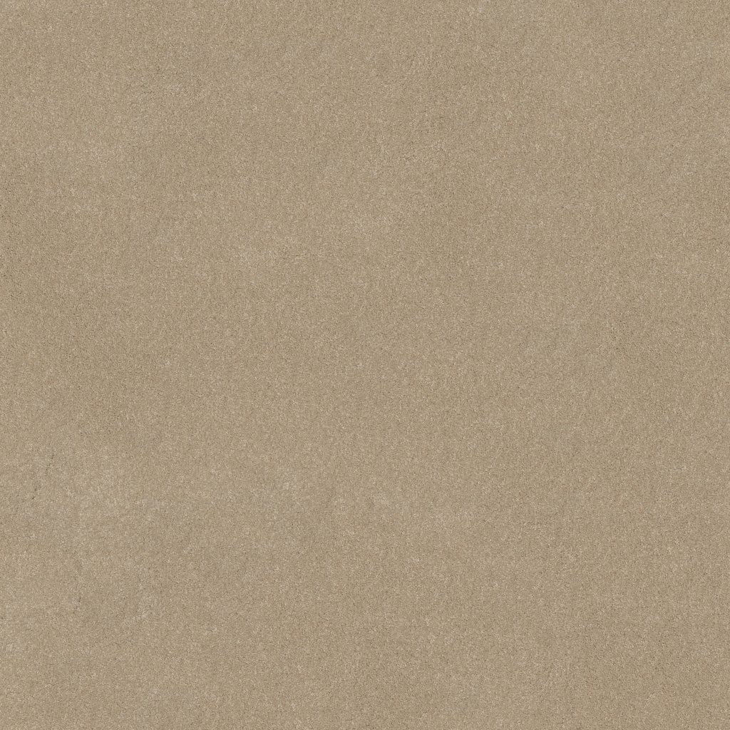 Shaw Floors YOU KNOW IT - French Canvas