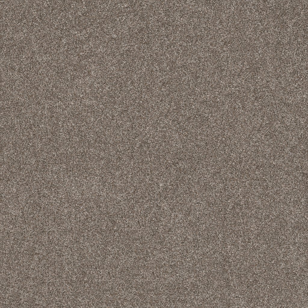 Shaw Floors Soft Effervescence - Nature Trail