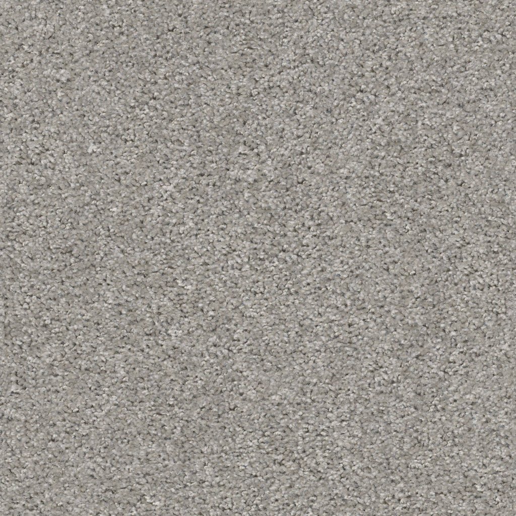 Shaw Floors Valiant - Raindance