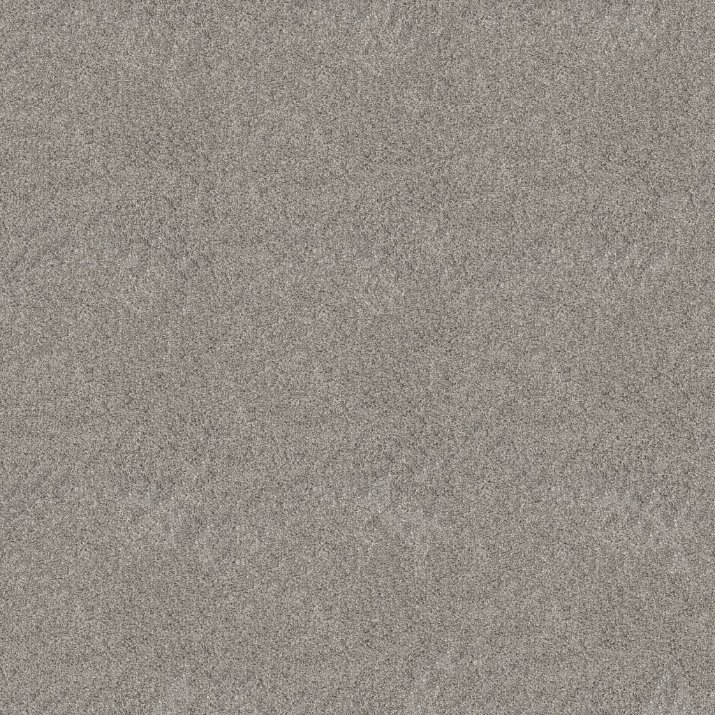Shaw Floors Grand Outlook - Shadow