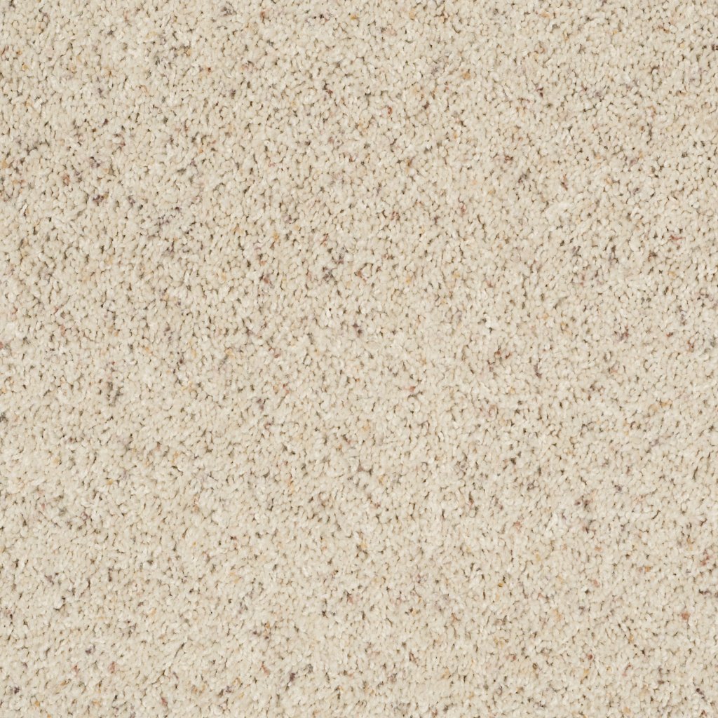 Shaw Floors Complete Allure (B) - Outer Bank