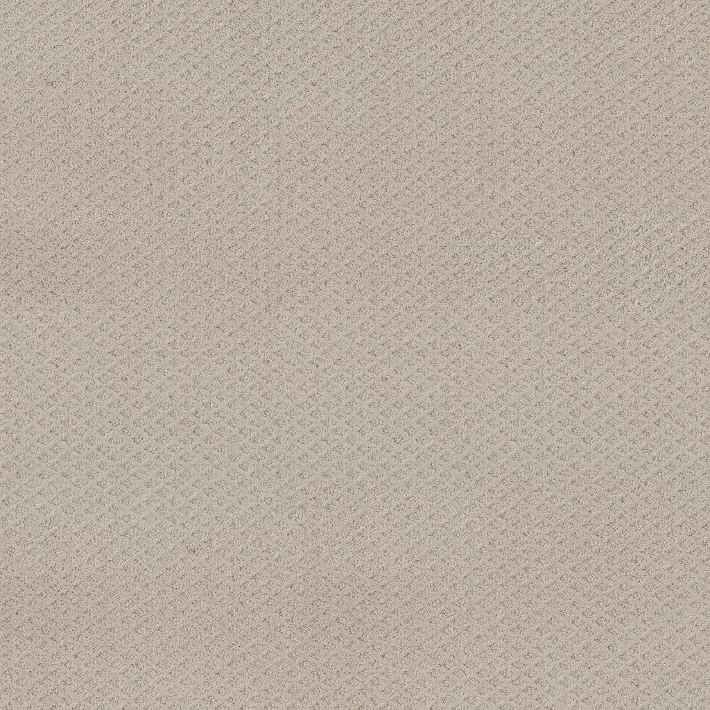 Shaw Floors Formalize - Fossil Path