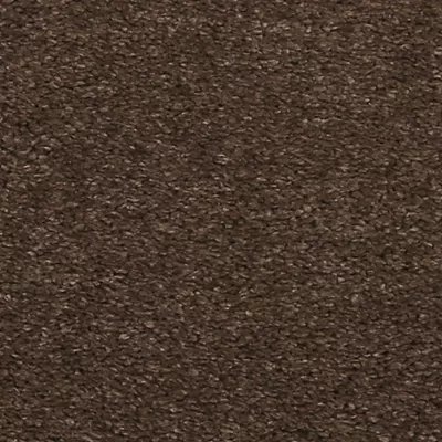 Godfrey Hirst Luxurious Hues - Espresso