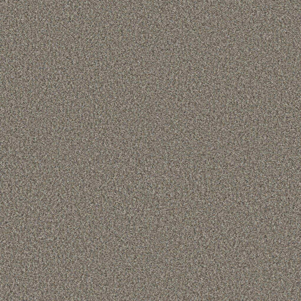Shaw Floors Renewed Energy II - Granite