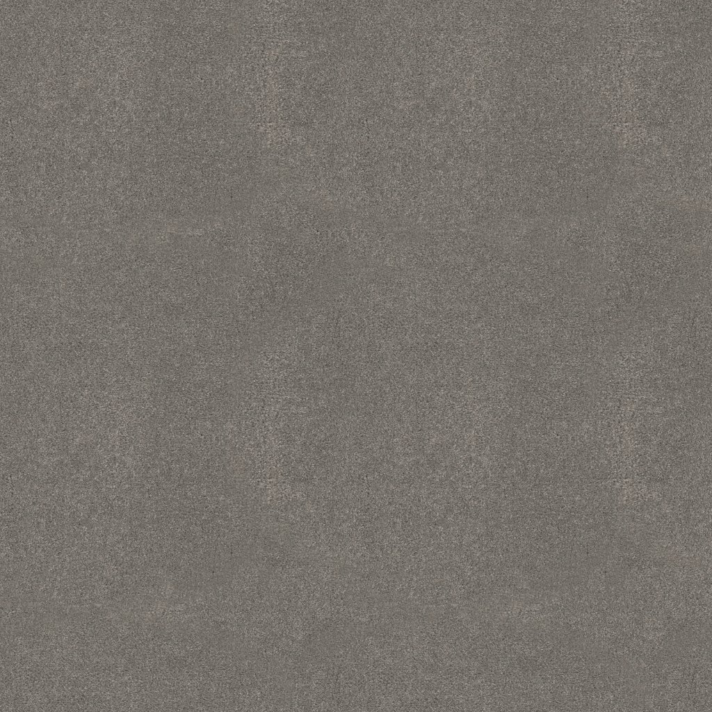 Shaw Floors WELL GROUNDED III 15 - Concrete