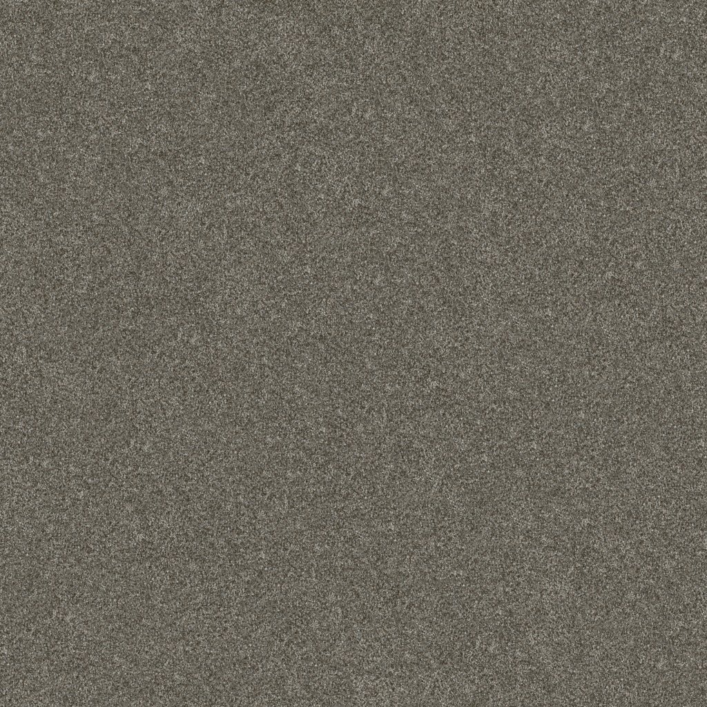 Shaw Floors Without Limits III - Organic