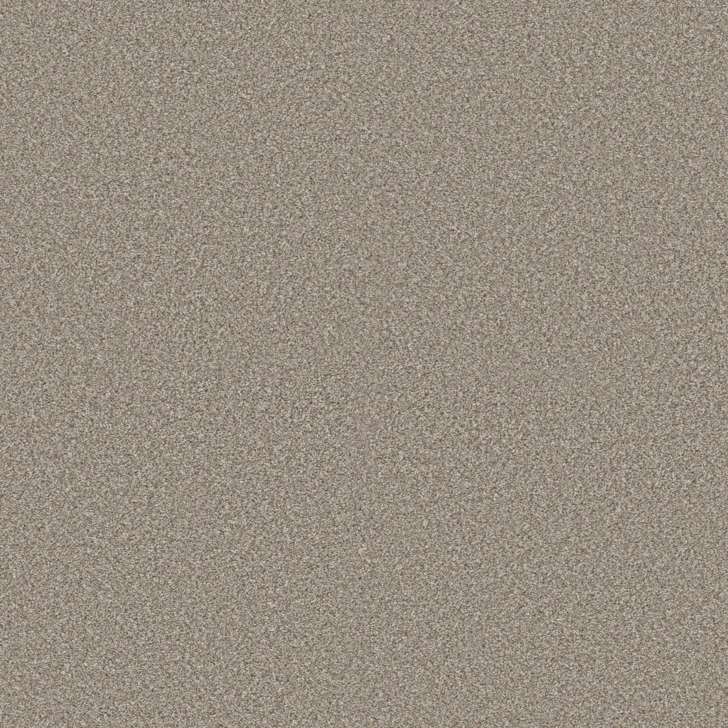 Shaw Floors Truspirit II - Lady Liberty