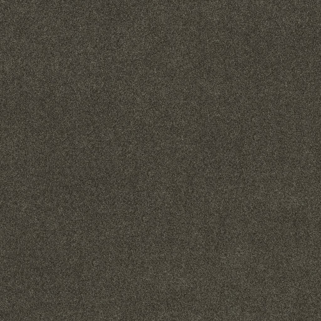 Shaw Floors YOU KNOW IT - Rich Earth