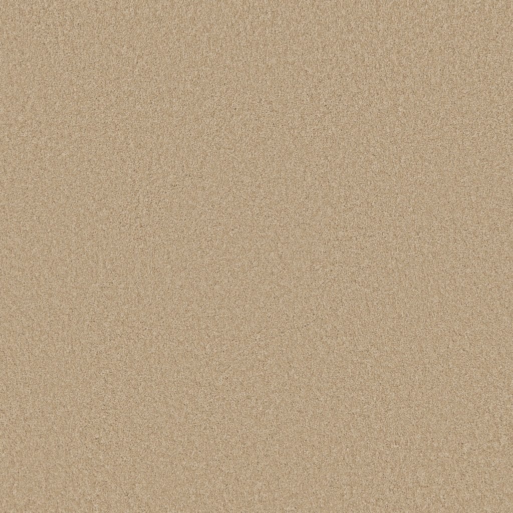 Shaw Floors Around The House III - Mesa