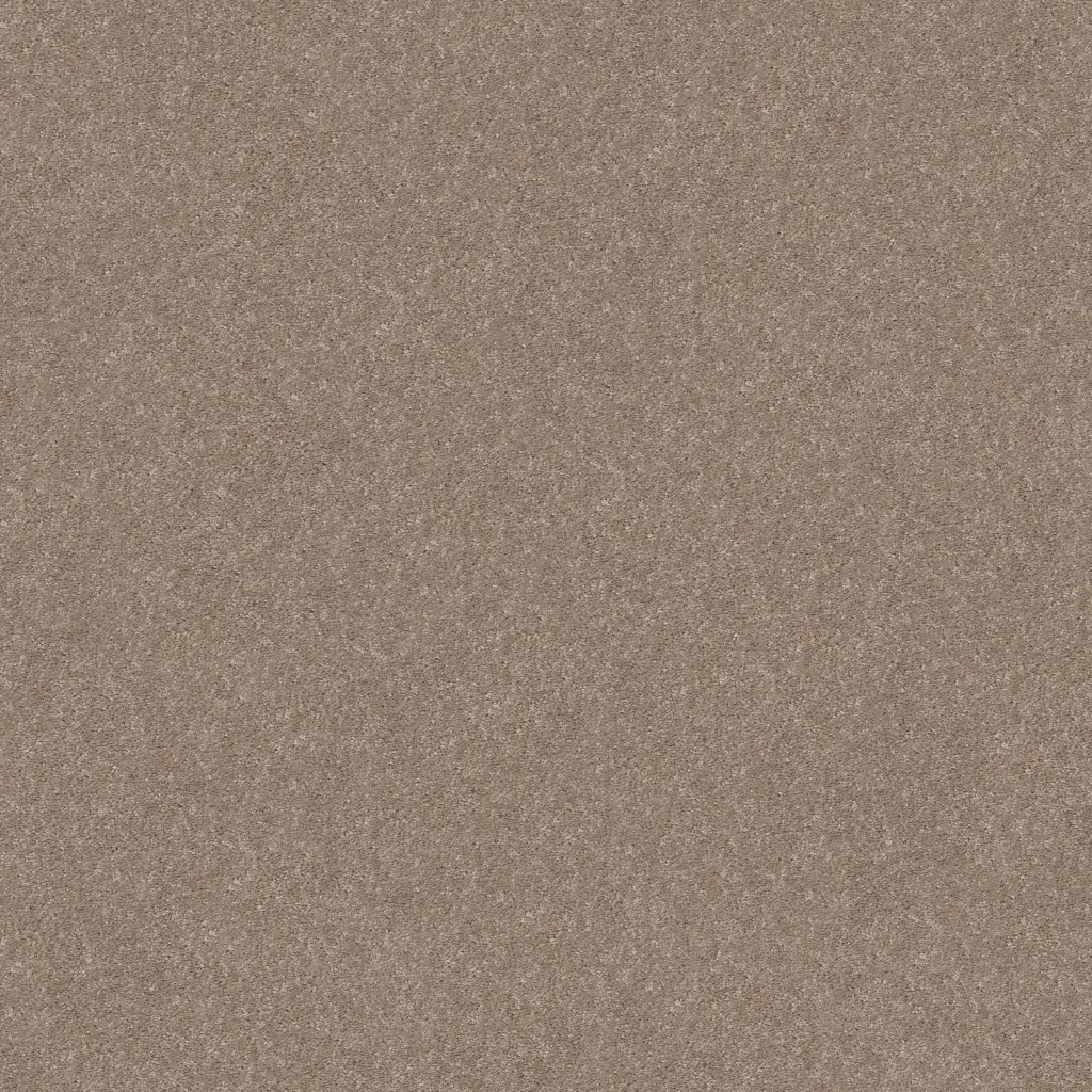 Shaw Floors Smooth Talk II - Buffington