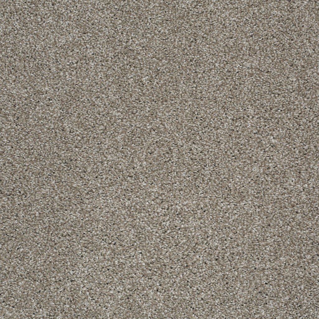 Shaw Floors Always Ready II - Arrowhead