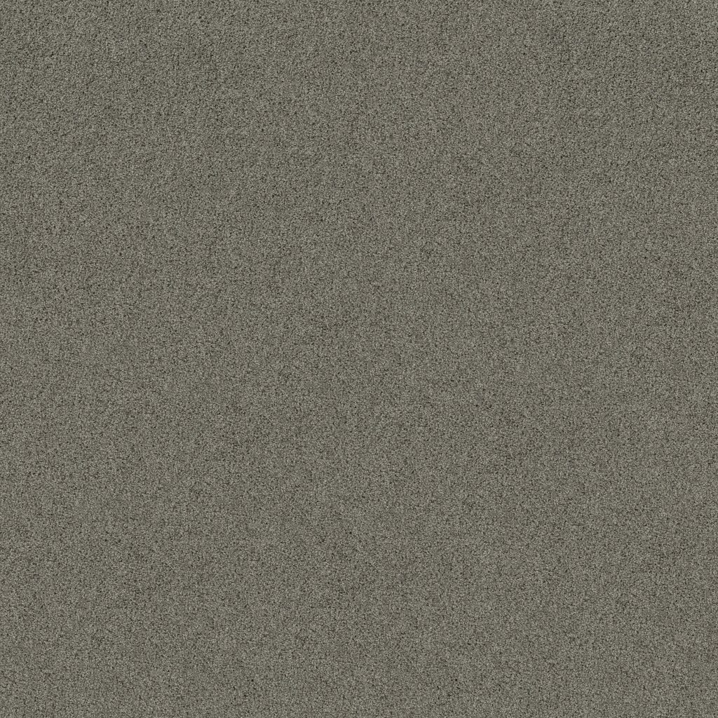Shaw Floors Always Mine - Drift