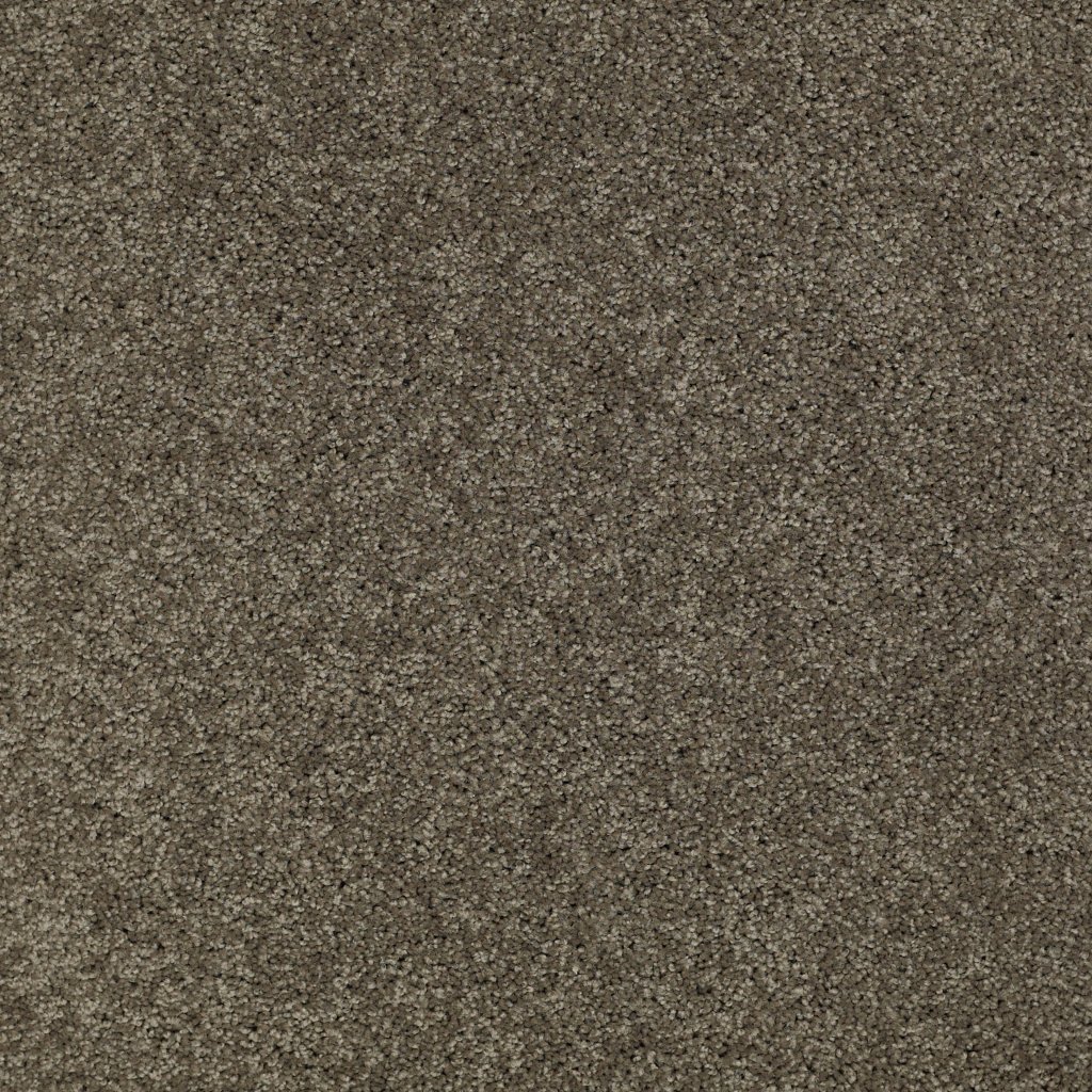 Shaw Floors Salina I - Charcoal
