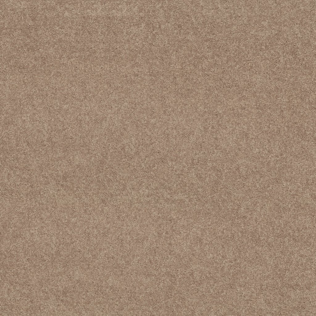Shaw Floors Essay II 12' - Moccasin