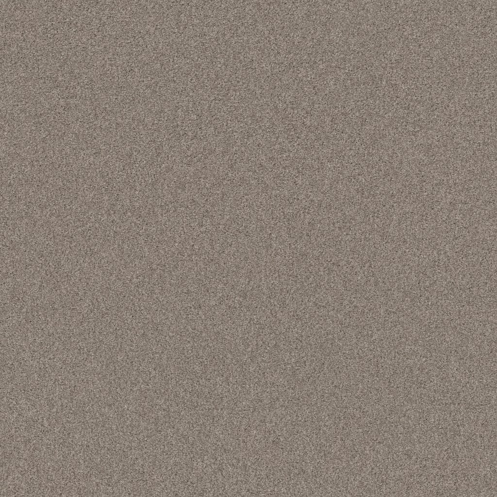 Shaw Floors Cozy Harbor II - Stucco