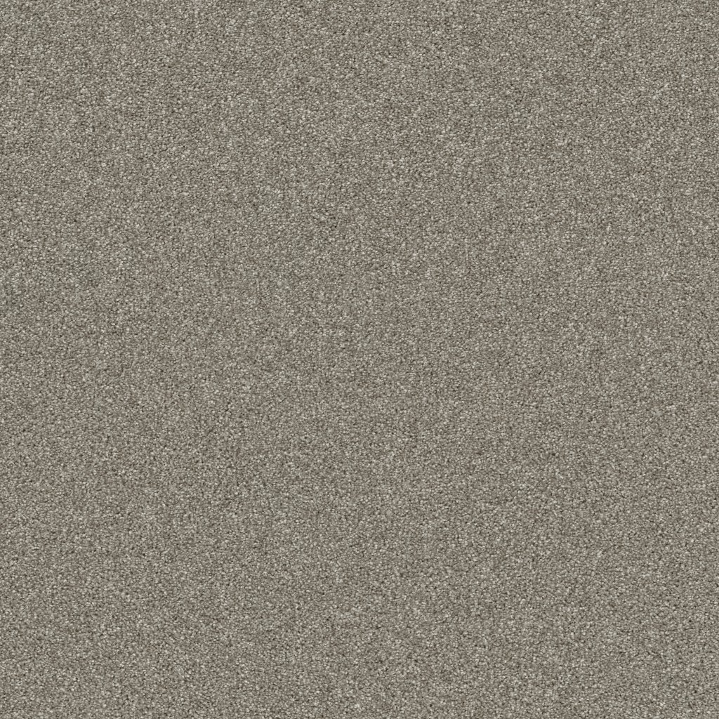 Shaw Floors Affirmation I - Vintage Pewter