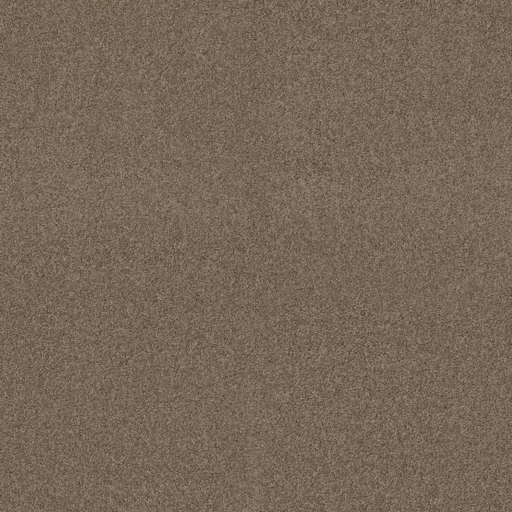 Shaw Floors My Inspiration I - Cappuccino