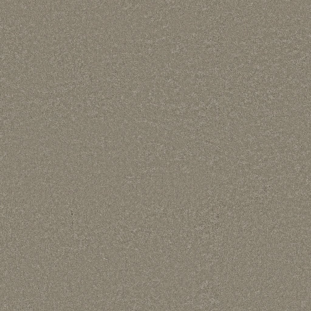 Shaw Floors Way To Go III - Mossy Oak