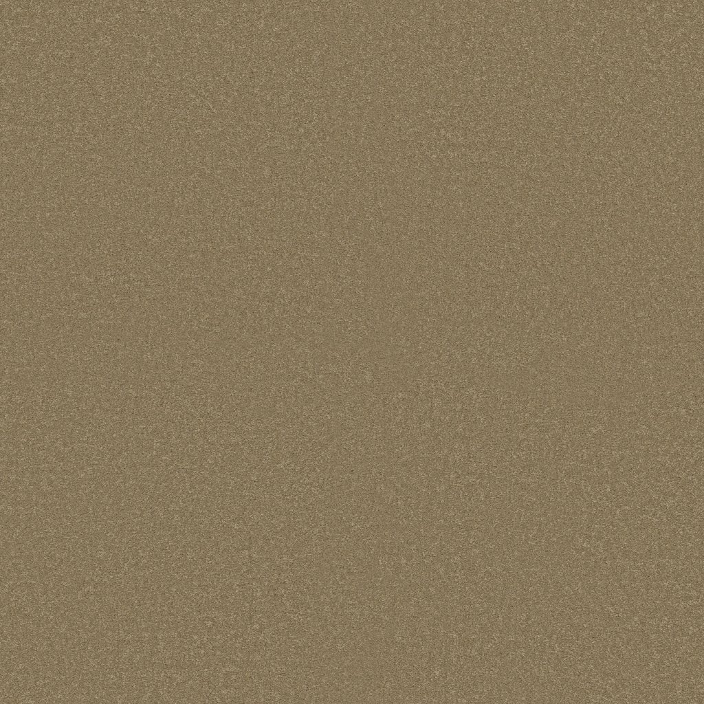 Shaw Floors Ultimate Expression 15' - Sahara