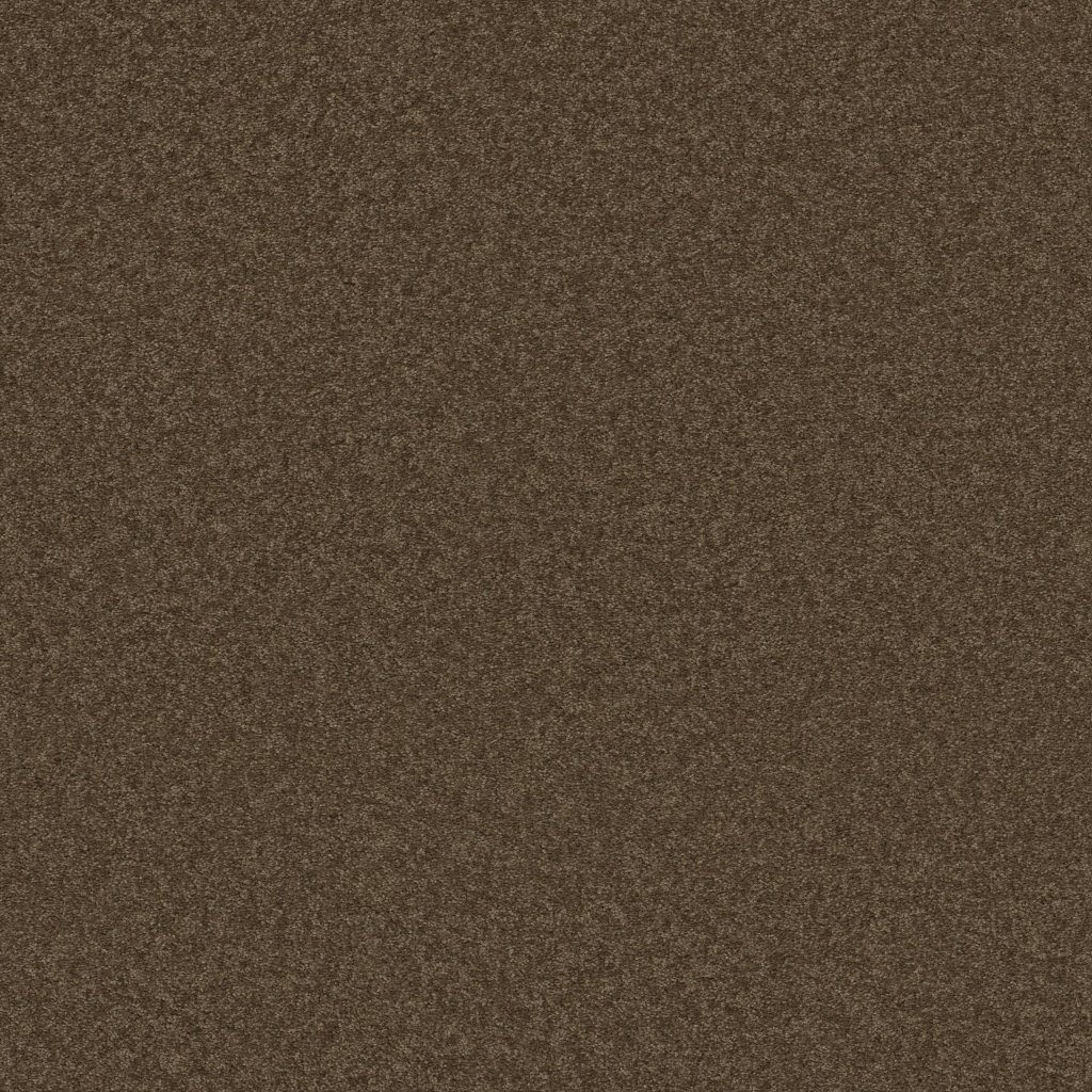 Shaw Floors Well Played I 15' - Briar Patch