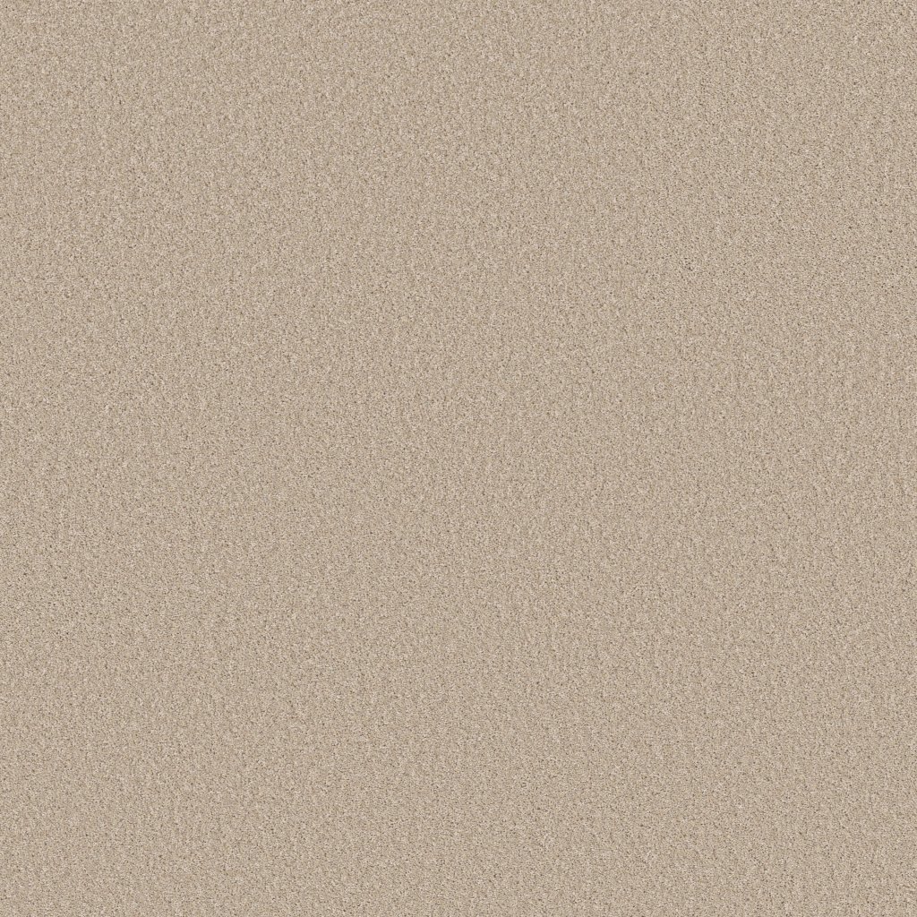 Shaw Floors Imaginable I - Dunes