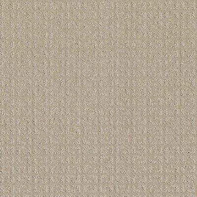 Shaw Floors Transform - Biscuit