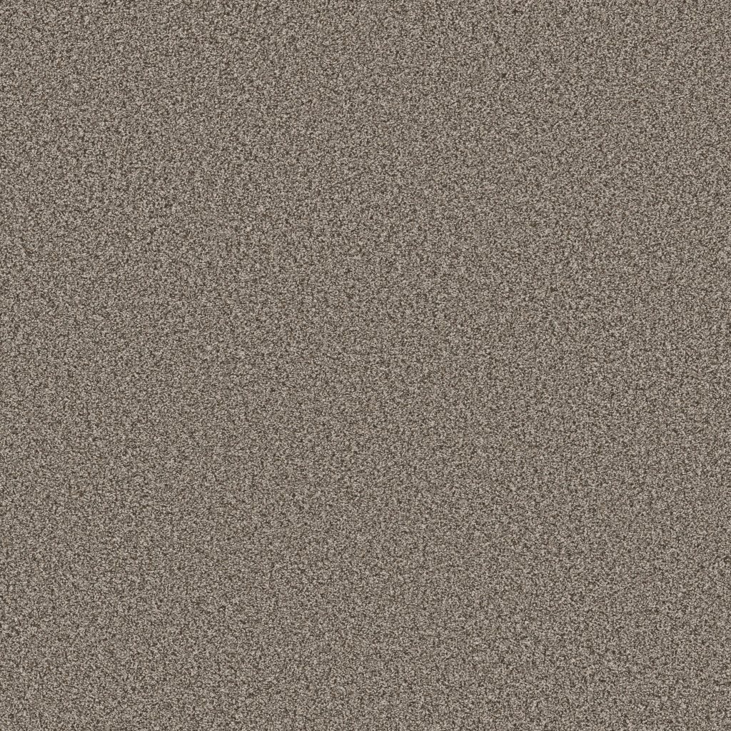 Shaw Floors Tweed Comfort II - Wake Up Call