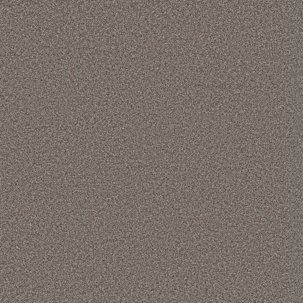 Shaw Floors Artistic Fusion I - Midnight Brown