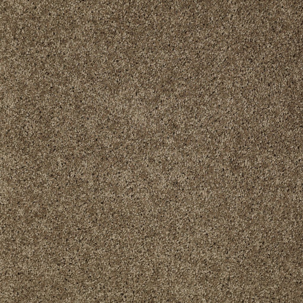 Shaw Floors Salina I - Cottage Stone
