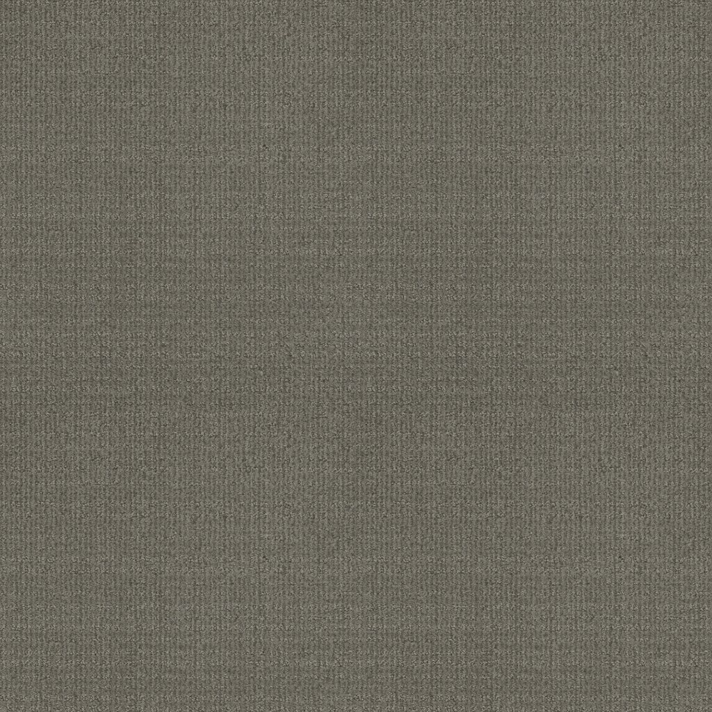 Shaw Floors Sensible Now - Metal