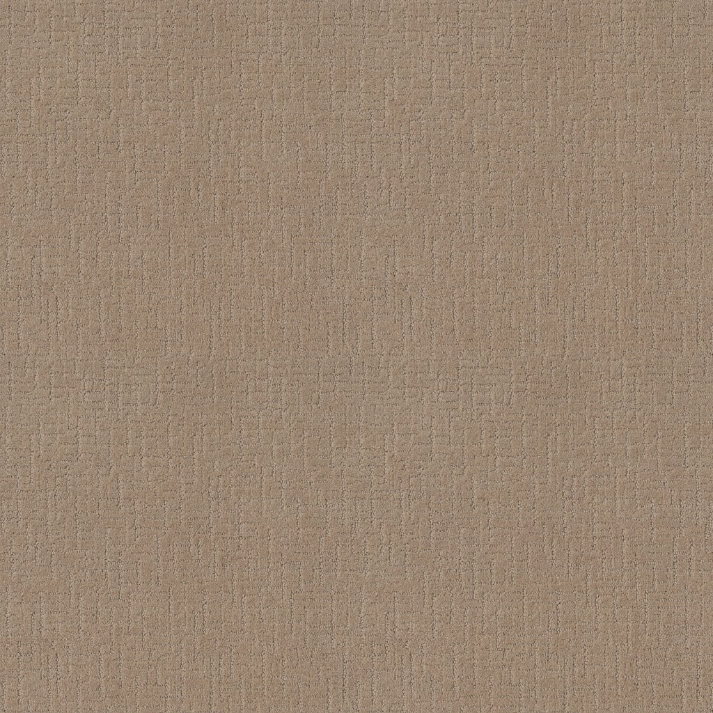Shaw Floors One More Hour - Tuscan