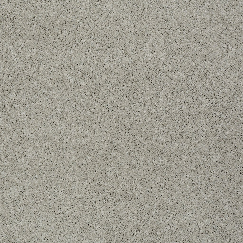 Shaw Floors Inspired By Ii - Textured Canvas