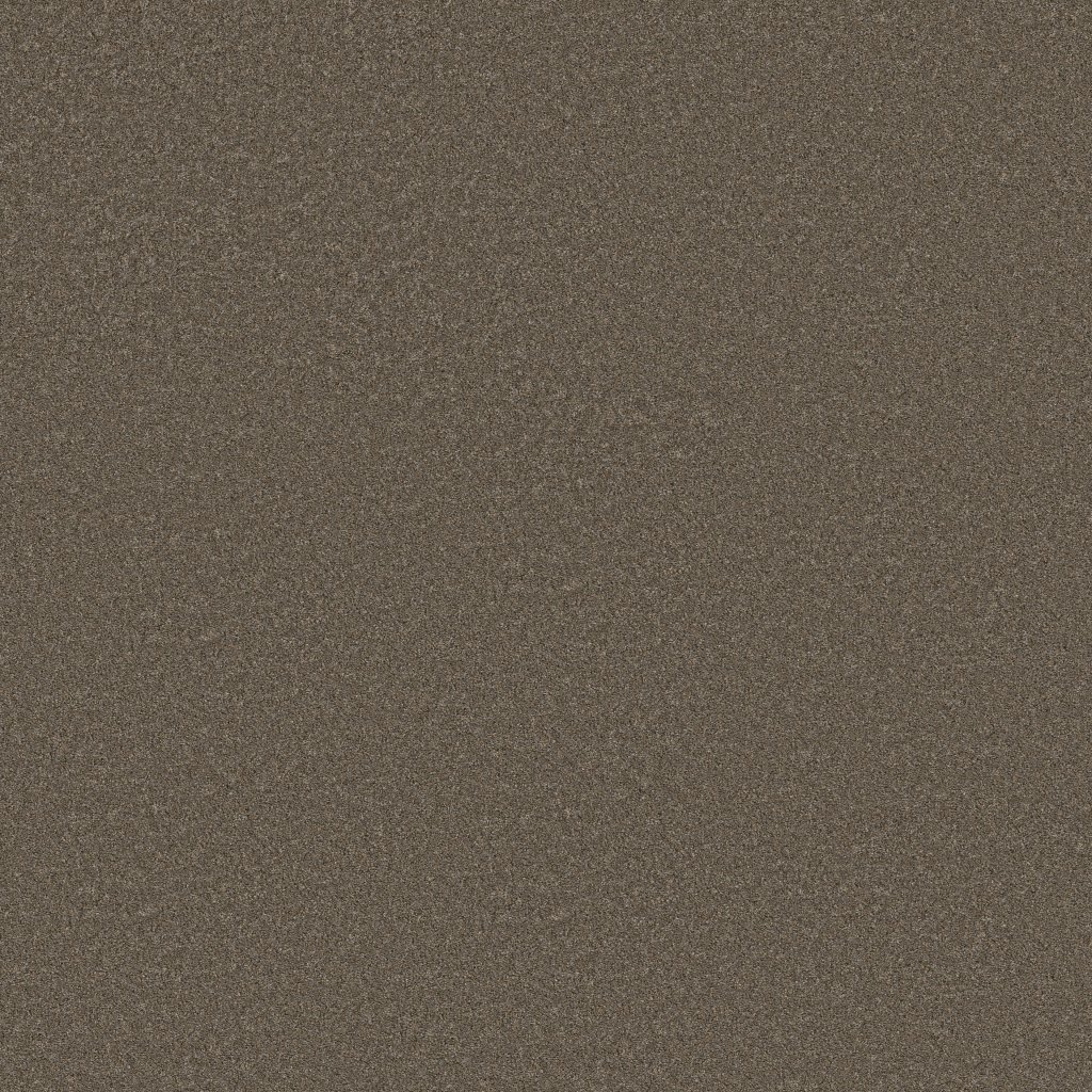 Shaw Floors Blended Touch I - Tweed