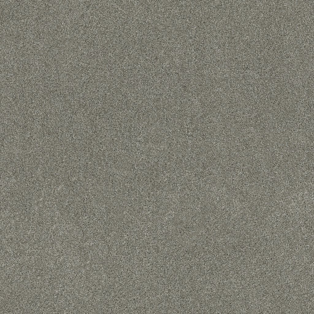 Shaw Floors Ocean View - Drift