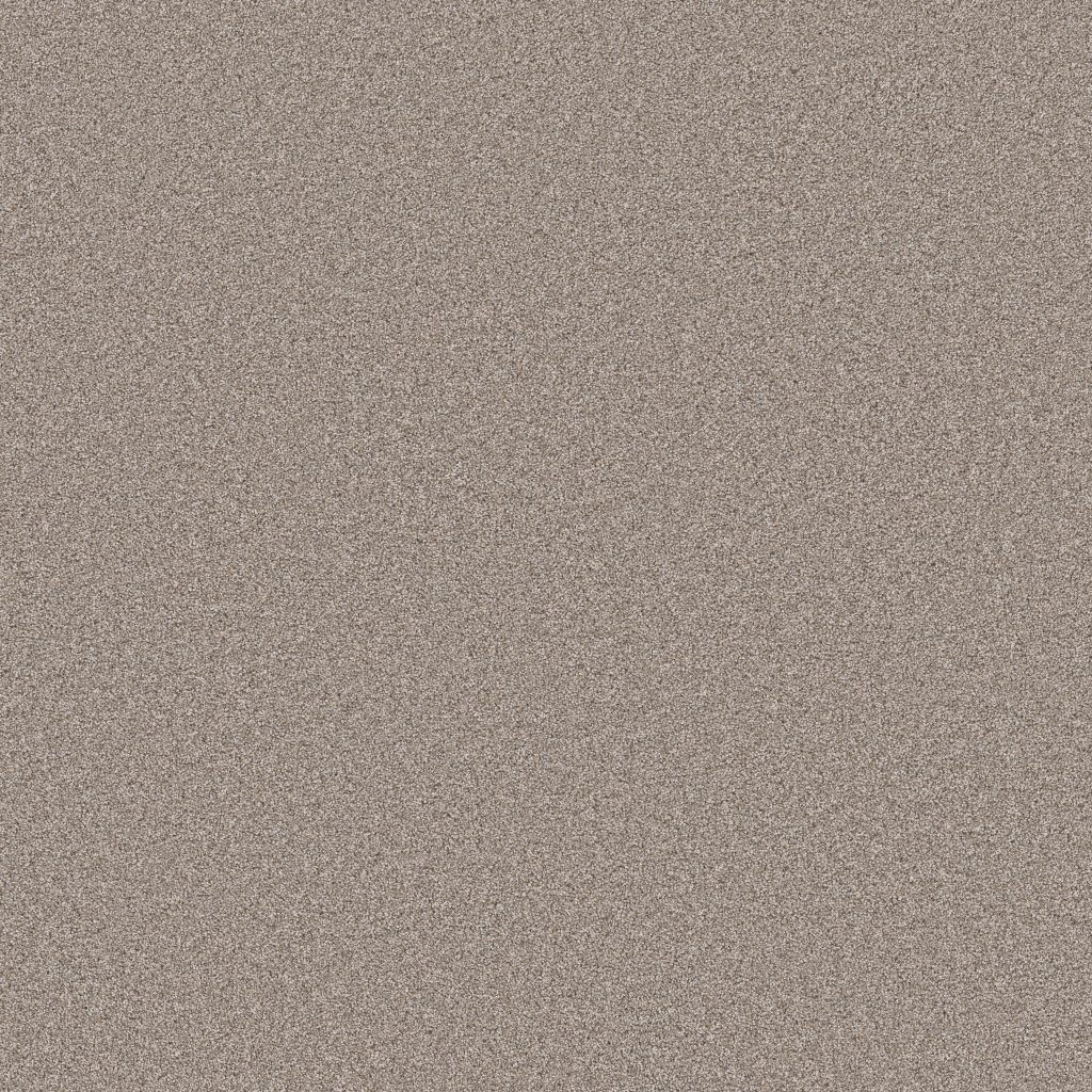 Shaw Floors Blended Touch I - Pebble Stone