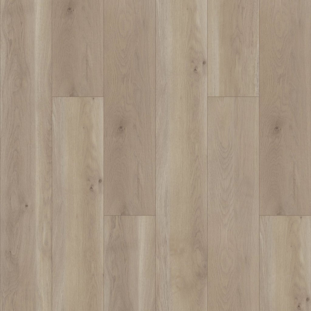 Shaw Floors Paragon HD Plus NB - Wisteria