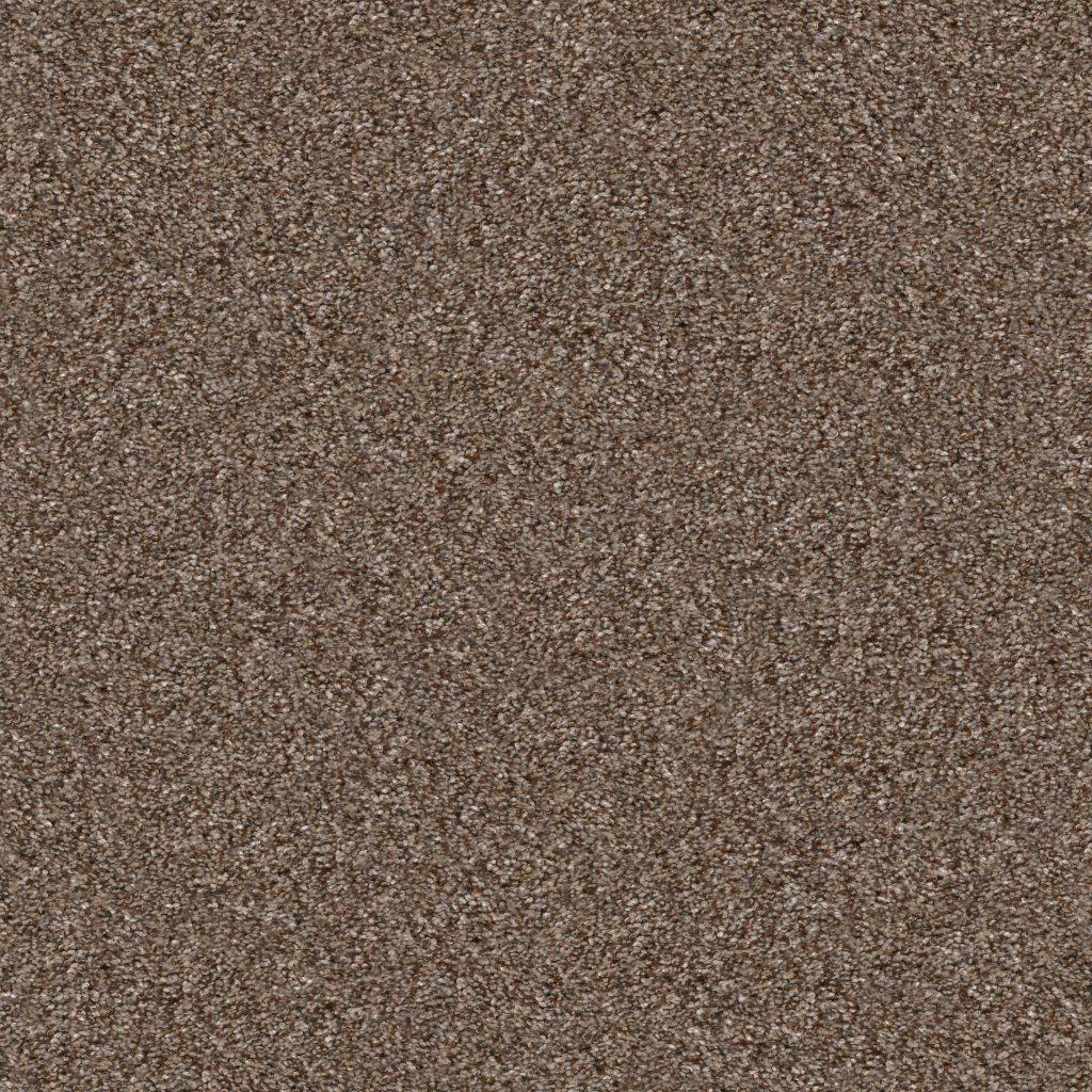 Shaw Floors Yes You Can III 12' - Worn Path
