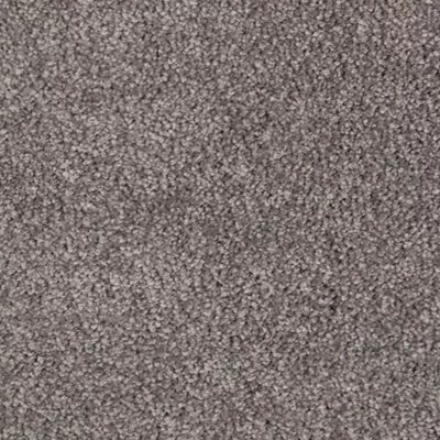 Mohawk Pleasant Touch - Urban Putty