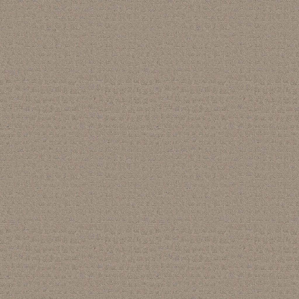 Shaw Floors Solstice - Barista
