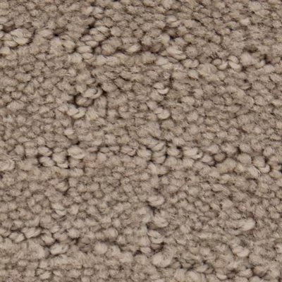 Mohawk Posh Appeal - Canvas
