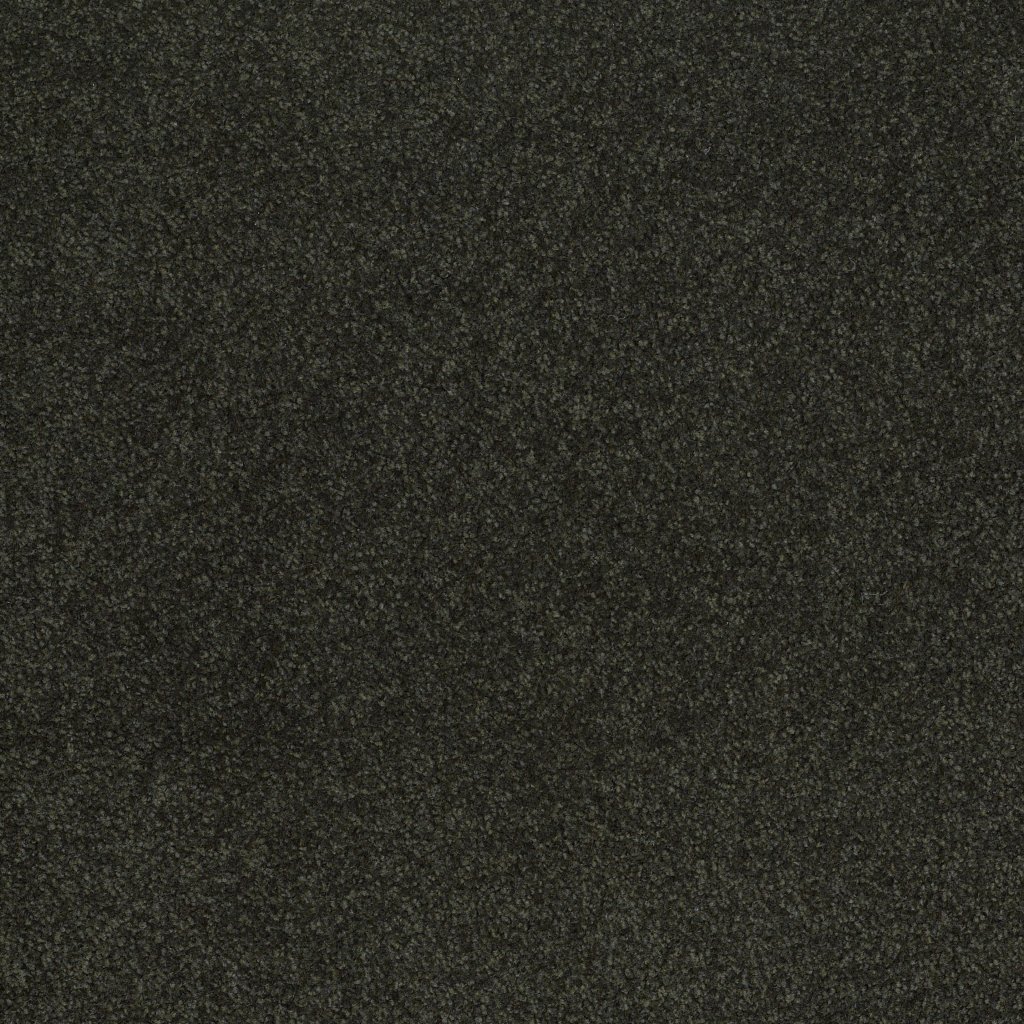 Shaw Floors Shingle Creek III 12' - Lilly Pad