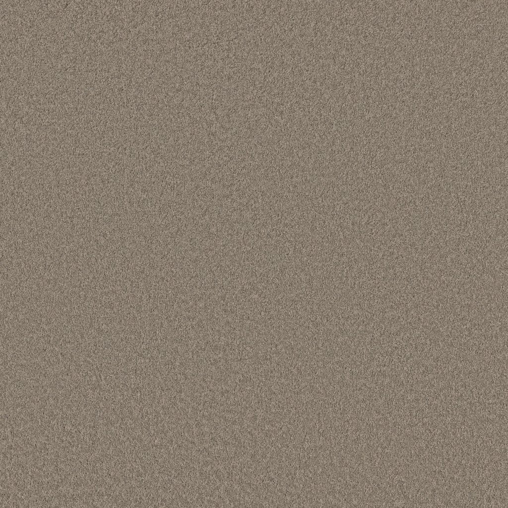Shaw Floors Velvet Touch II - Plaza Taupe