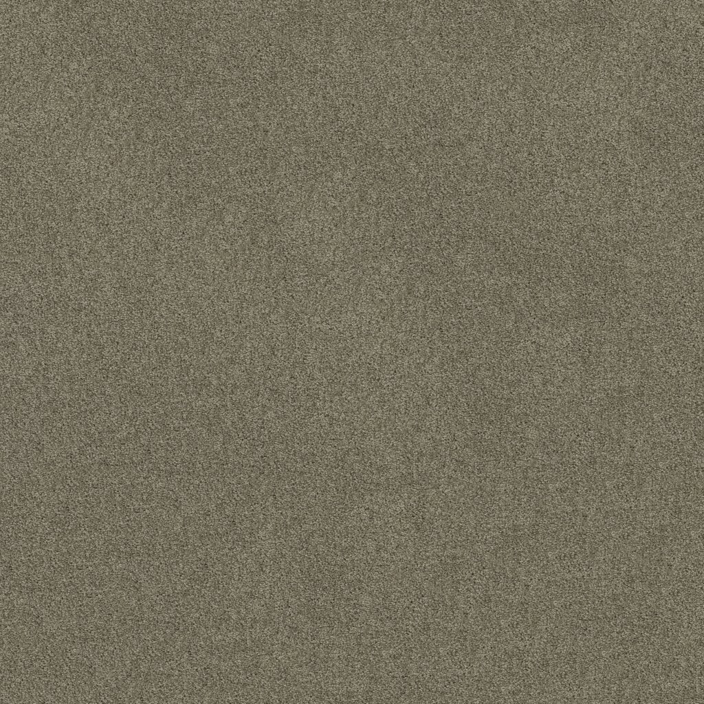 Shaw Floors Salina I - Wild Dove